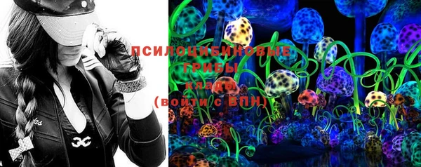 хмурый Вяземский