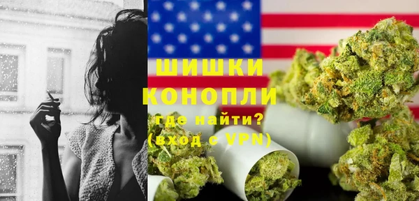 хмурый Вяземский