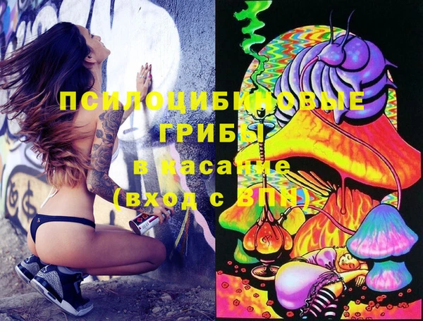 МДПВ Вязьма