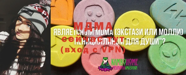 МДПВ Вязьма