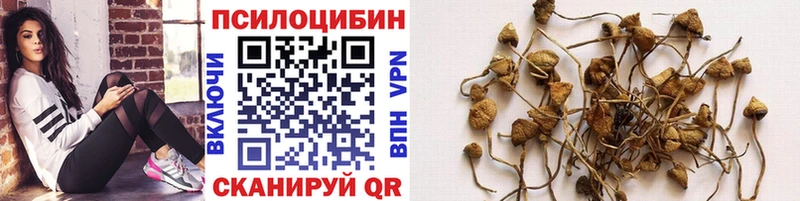 Купить  Ликино-Дулёво  Галлюциногенные грибы мицелий 